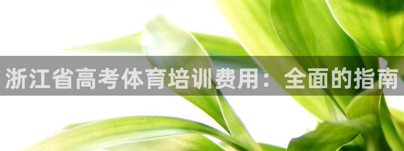 尊龙t600怎么样：浙江省高考体育培训费用：全面的指